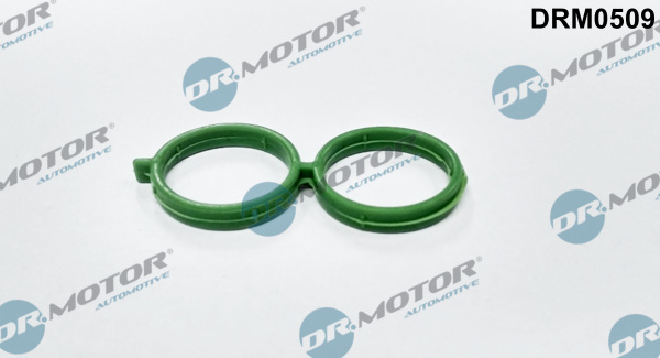 Dr.Motor Automotive Pakking DRM0509