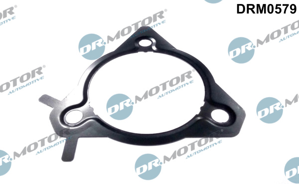 Dr.Motor Automotive Inspuitpomp pakking DRM0579