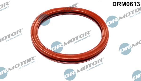 Dr.Motor Automotive Pakking DRM0613