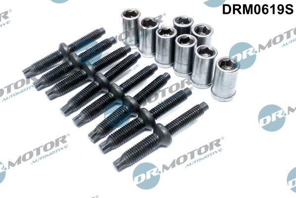 Dr.Motor Automotive Schroef DRM0619S