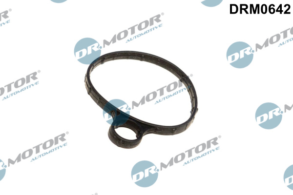 Dr.Motor Automotive Rembekrachtiger DRM0642
