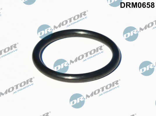 Dr.Motor Automotive Olie inlaat turbolader pakking DRM0658