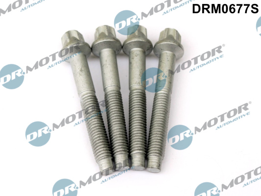 Dr.Motor Automotive Schroef DRM0677S