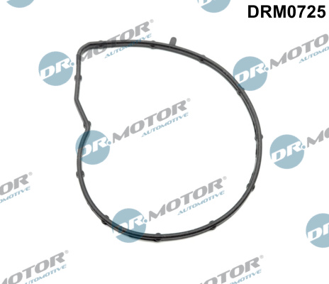 Dr.Motor Automotive Waterpomppakking DRM0725