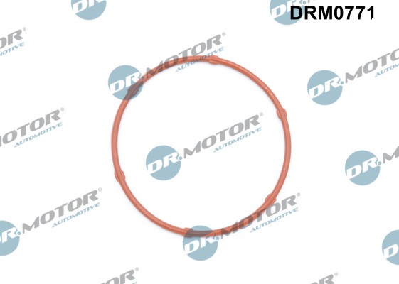 Dr.Motor Automotive Oliepomp pakking DRM0771