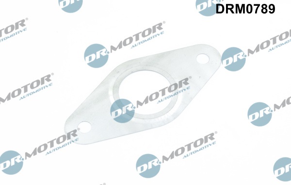 Dr.Motor Automotive Dichtring EGR-klep leiding DRM0789