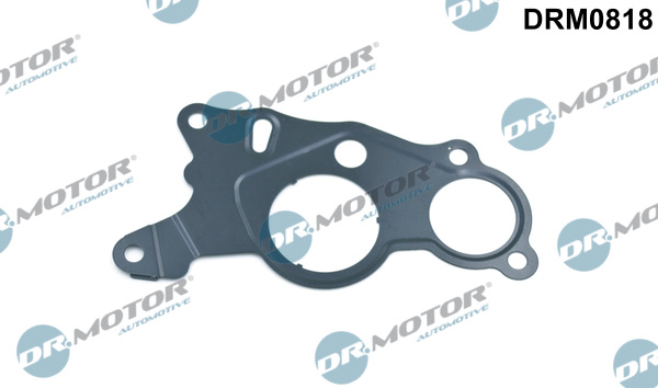 Dr.Motor Automotive Rembekrachtiger DRM0818