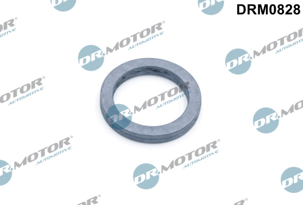 Dr.Motor Automotive Oliepomp pakking DRM0828