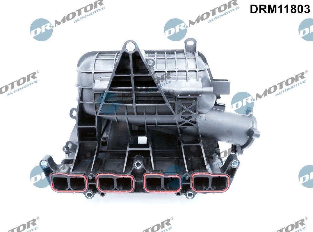 Dr.Motor Automotive Inlaatspruitstuk module DRM11803
