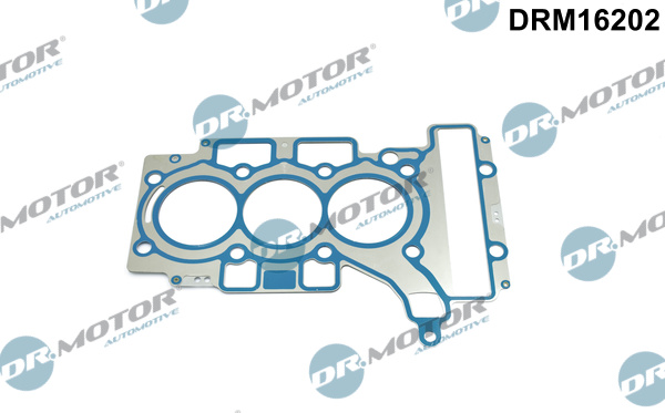Dr.Motor Automotive Cilinderkop pakking DRM16202
