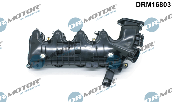 Dr.Motor Automotive Inlaatspruitstuk module DRM16803