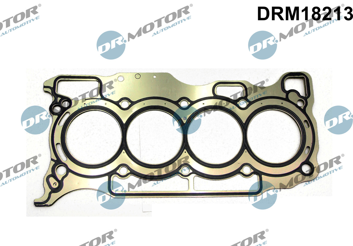 Dr.Motor Automotive Cilinderkop pakking DRM18213