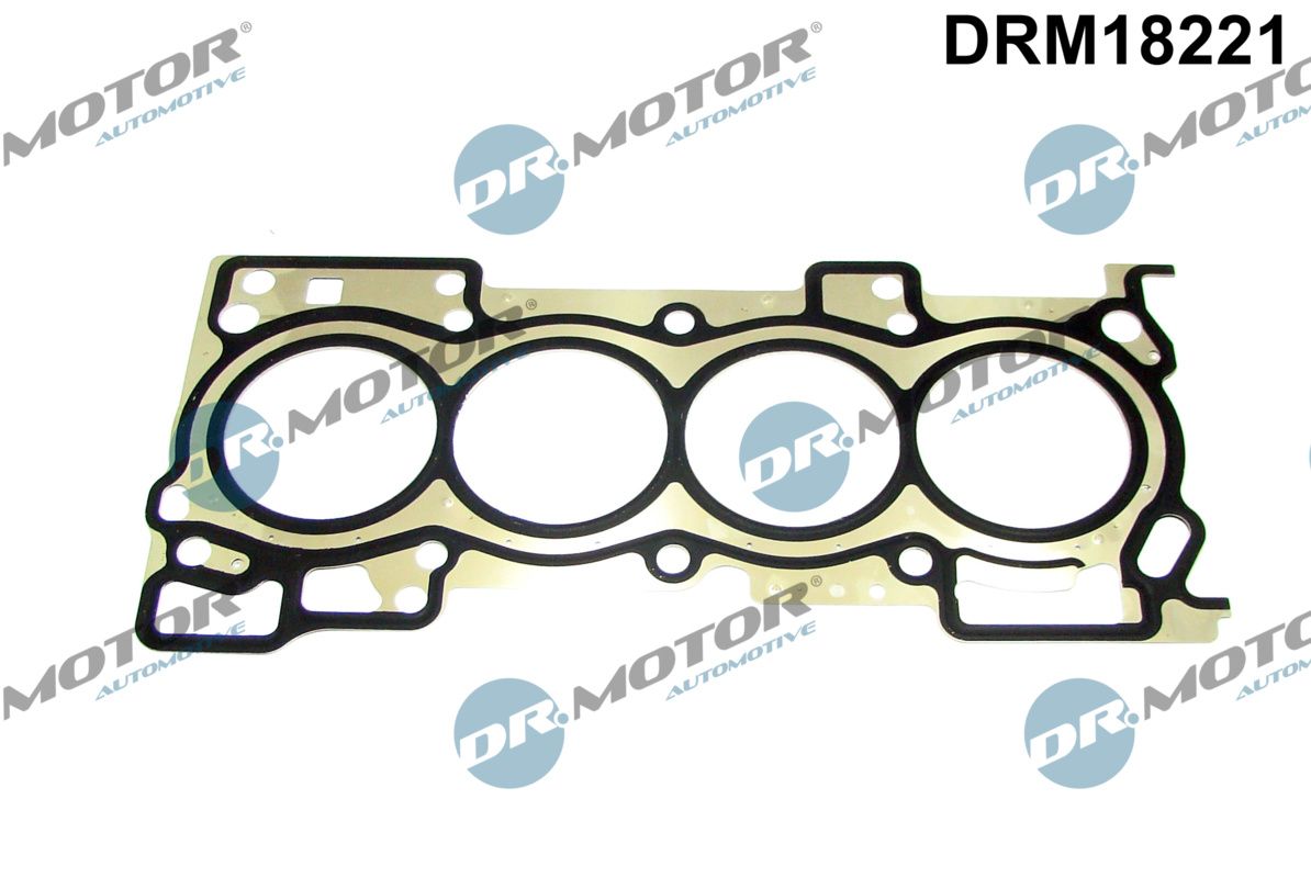 Dr.Motor Automotive Cilinderkop pakking DRM18221