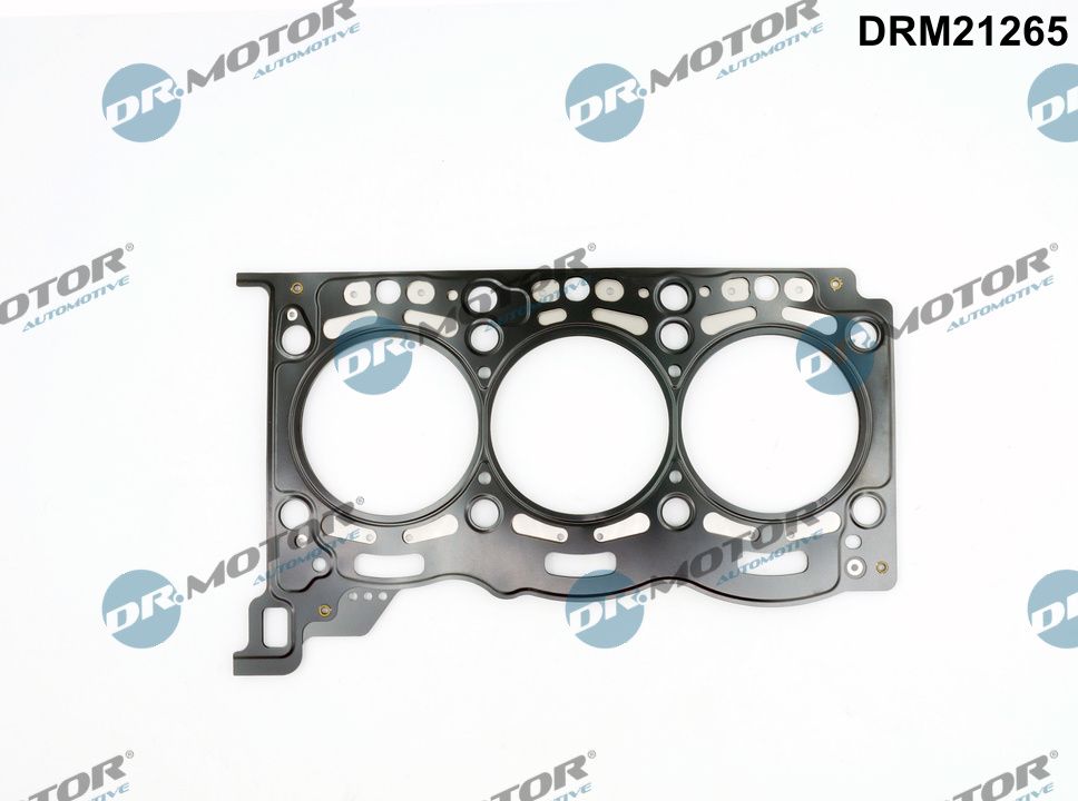 Dr.Motor Automotive Cilinderkop pakking DRM21265