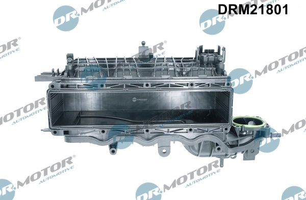 Dr.Motor Automotive Inlaatspruitstuk module DRM21801