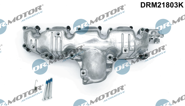 Dr.Motor Automotive Inlaatspruitstuk module DRM21803K