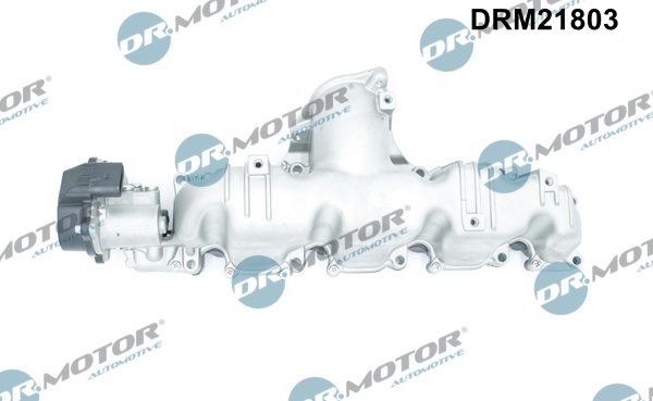 Dr.Motor Automotive Inlaatspruitstuk module DRM21803