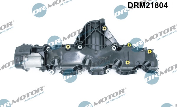 Dr.Motor Automotive Inlaatspruitstuk module DRM21804