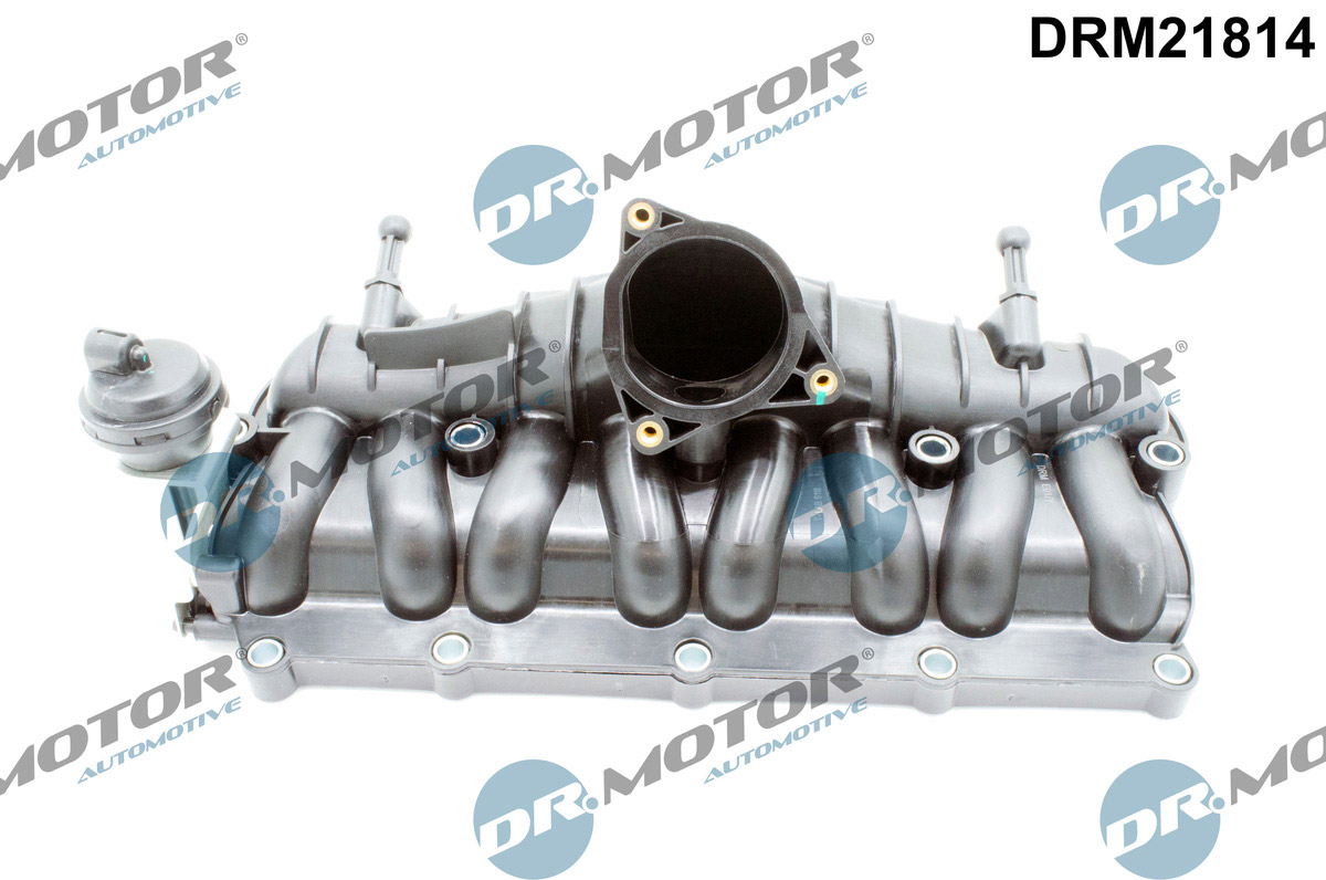 Dr.Motor Automotive Inlaatspruitstuk module DRM21814