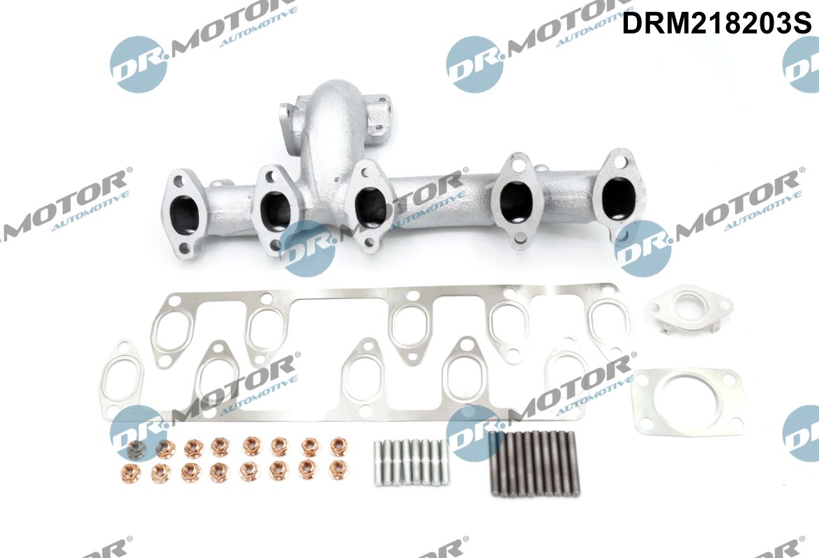 Dr.Motor Automotive Spruitstuk DRM218203S
