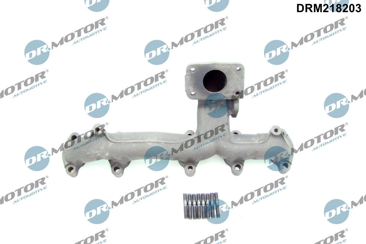 Dr.Motor Automotive Spruitstuk DRM218203