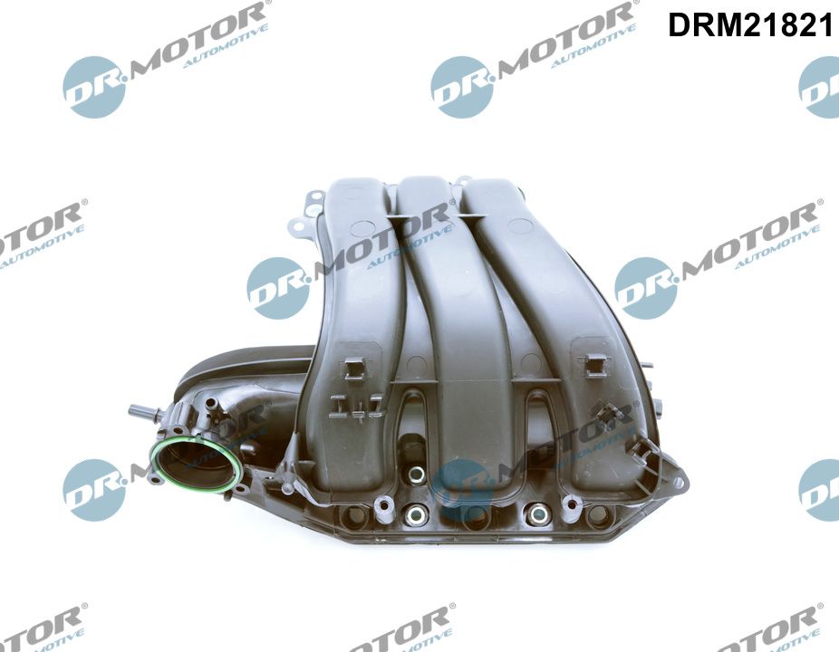 Dr.Motor Automotive Inlaatspruitstuk module DRM21821