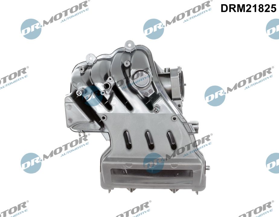 Dr.Motor Automotive Inlaatspruitstuk module DRM21825