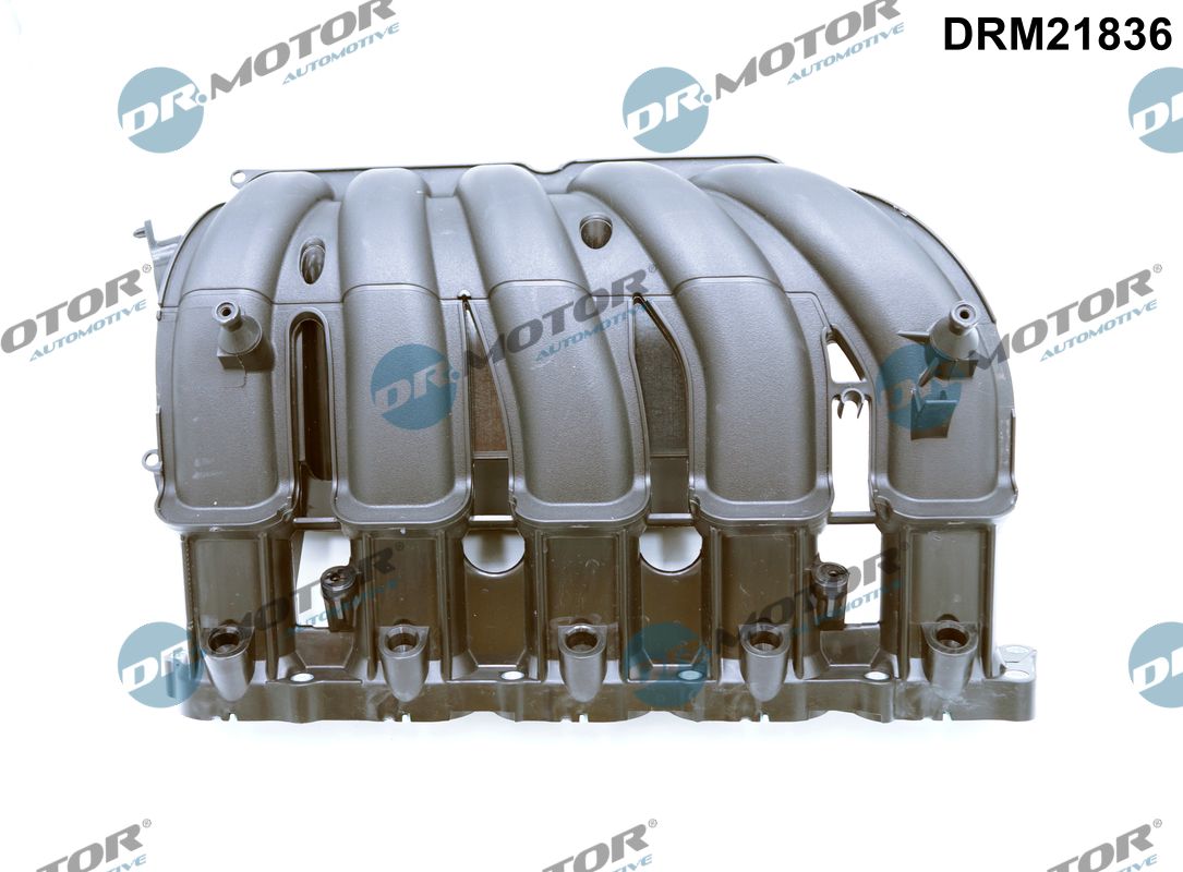 Dr.Motor Automotive Inlaatspruitstuk module DRM21836