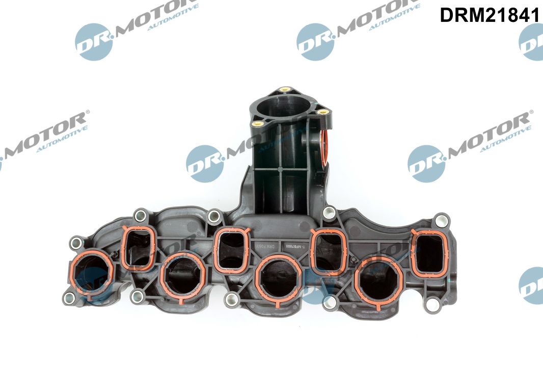 Dr.Motor Automotive Inlaatspruitstuk module DRM21841