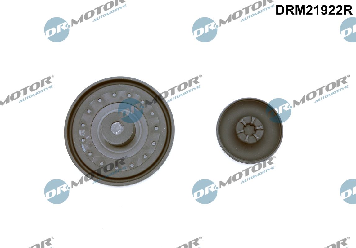 Dr.Motor Automotive Ontluchtingklep nokkenasbehuizing DRM21922R