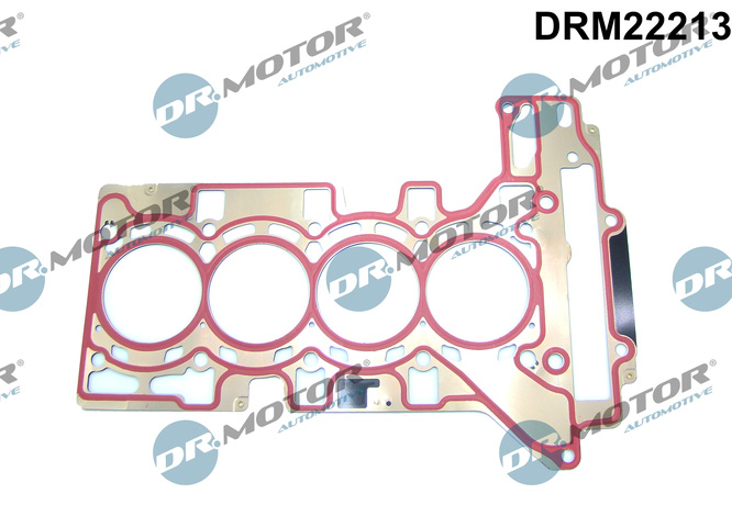 Dr.Motor Automotive Cilinderkop pakking DRM22213