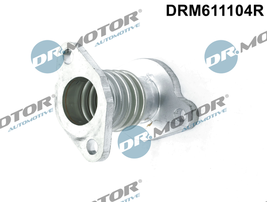 Dr.Motor Automotive EGR-klep DRM611104R