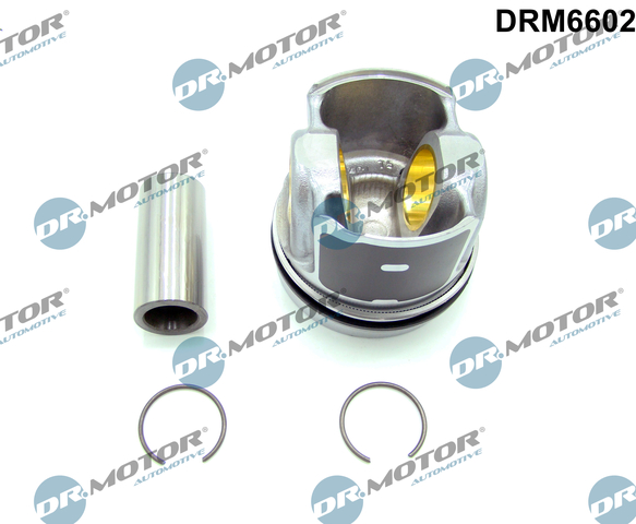Dr.Motor Automotive Complete Motor DRM6602