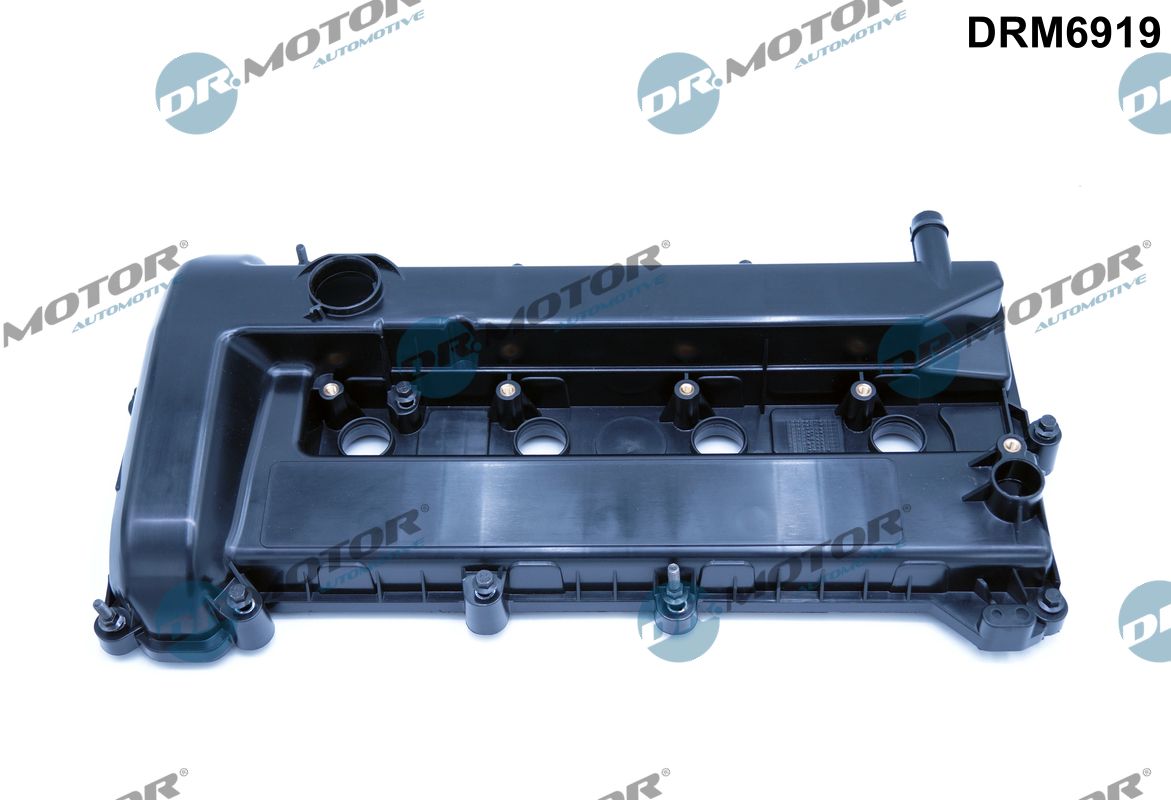 Dr.Motor Automotive Kleppendeksel DRM6919