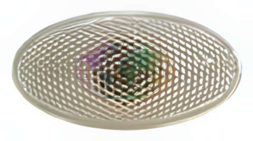 Bodermann Knipperlicht 8227310