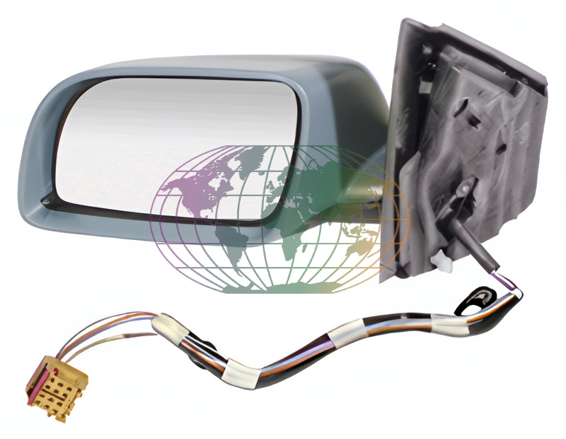 Bodermann Buitenspiegel 9248084