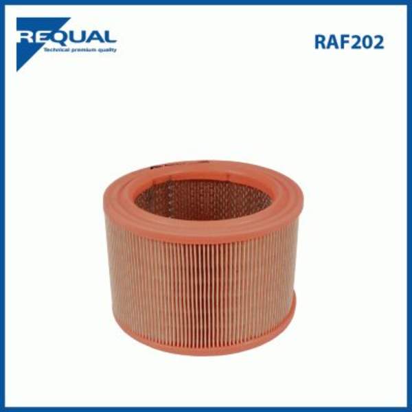 Requal Luchtfilter RAF202