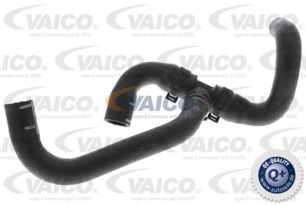 Vaico Radiateurslang V10-4777