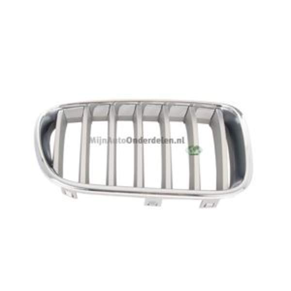 Bodermann Grille 1642353