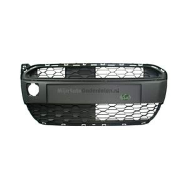 Bodermann Grille 2059350