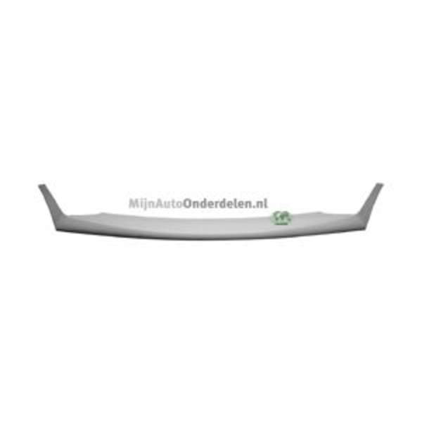 Bodermann Grille 3617353