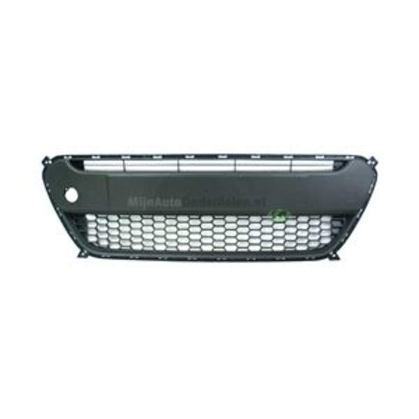 Bodermann Grille 4646360