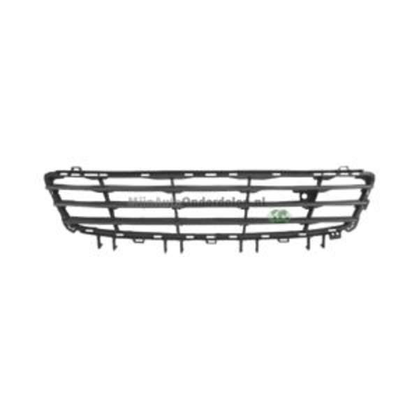 Bodermann Grille 6420360