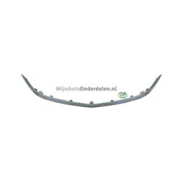 Bodermann Grille 6421355